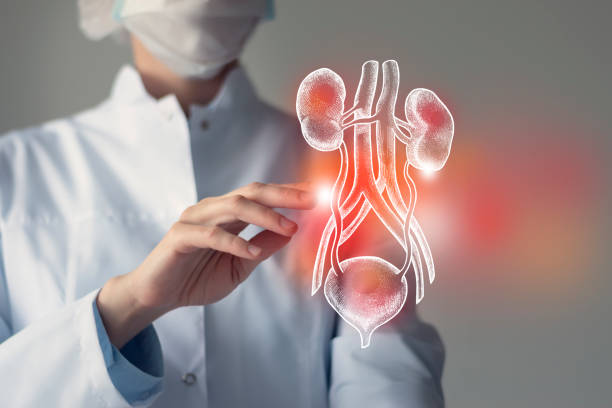 Resistant Hypertension & Kidney Damage: Breaking the Vicious Cycle